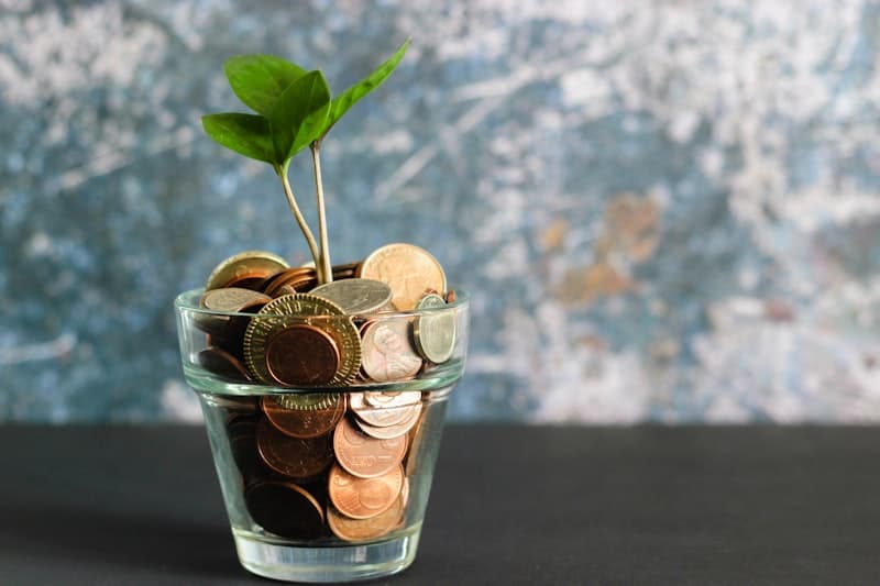 Fueling growth with ethical capital